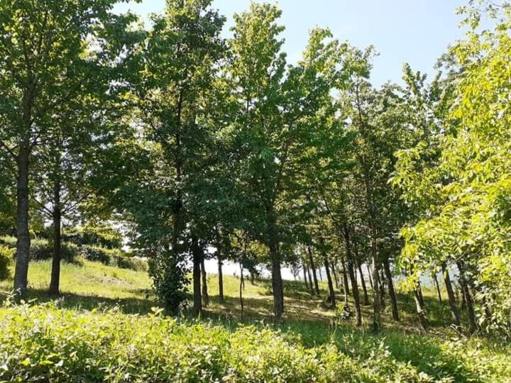 Ai Boschi Lägenhet Ozzano dell'Emilia Exteriör bild