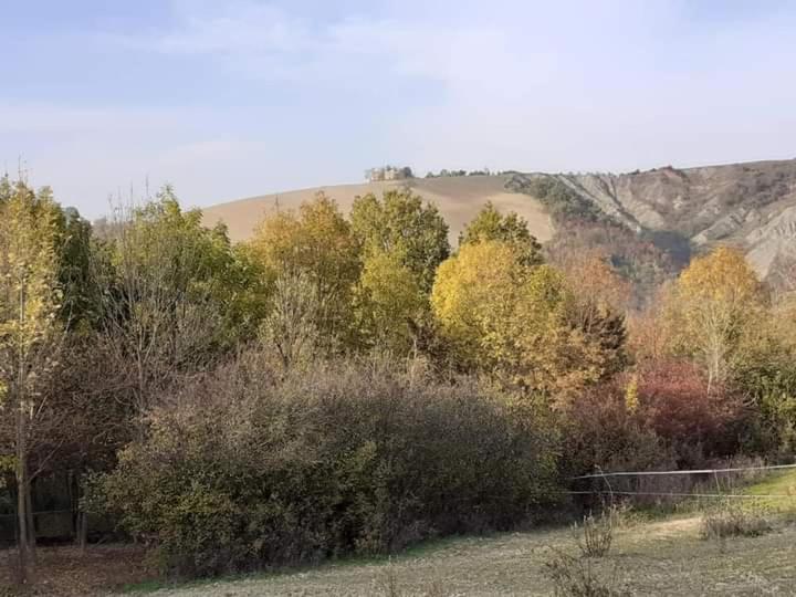 Ai Boschi Lägenhet Ozzano dell'Emilia Exteriör bild